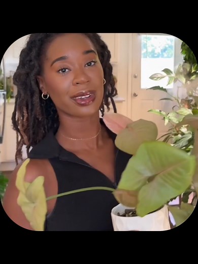 The Beauty of Starting Over in Entrepreneurship
