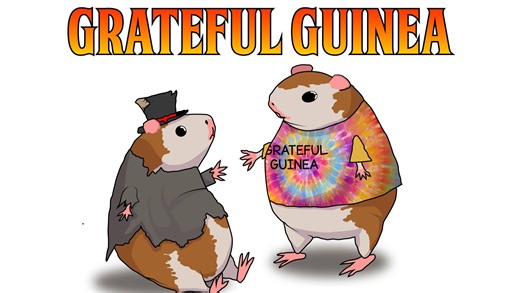 Donate to Help the World's First Guinea Pig Addiction Recovery Program, organized by Joshua Frank