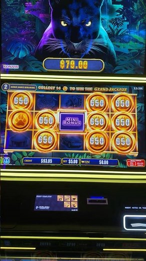 Slot Machine WIN BIG with Mini Bonus