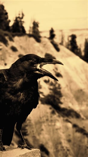 Fail chasing greatness—not succeeding in comfort. 🔥