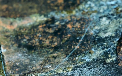 如何使用dSploit统治wifi