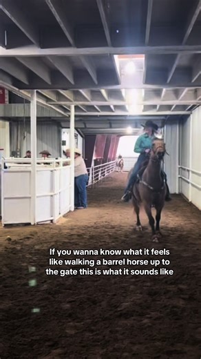 Experience the Thrill of Barrel Horse Racing