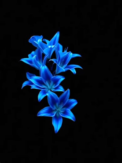 Beast Song Lyrics Explained