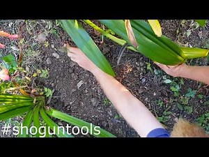 How to use the Cut Kama weeding sickle - Shogun Tools