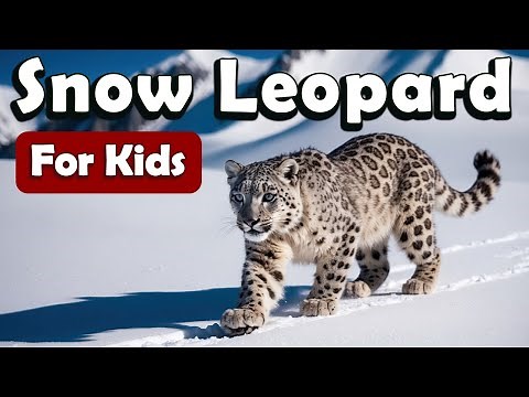 Snow Leopard for Kids | Learn About Animals for Kids