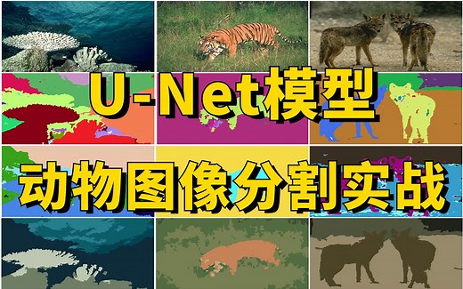 基于U-Net模型实现动物图像分割，原理详解 项目实战，半小时带你吃透U-Net模型！（深度学习/计算机视觉）