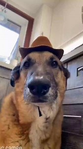 We’re officially on CAMEO #cameo #celebrity #smile #happybirthday #merrychristmas #hall | Helen R. Brown