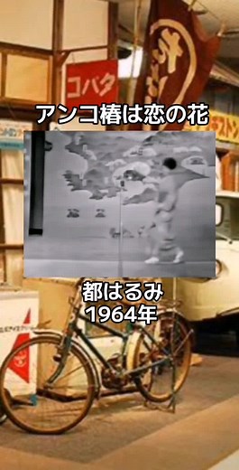 昭和歌謡曲の魅力：都はるみのアンコ椿は恋の花