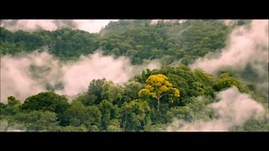 13K views · 578 reactions | Check this out, Padding Movie Trailer with our very own Xian Lim as the Voice of Paddington, Opens February 11, 2015 -- Captive Cinema #ILovePaddington #PaddingtonPH | STAR MAGIC | Facebook