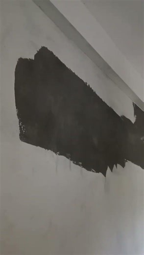 drawing room#Asian putty#single coat#reels 🖌️🖌️🖌️