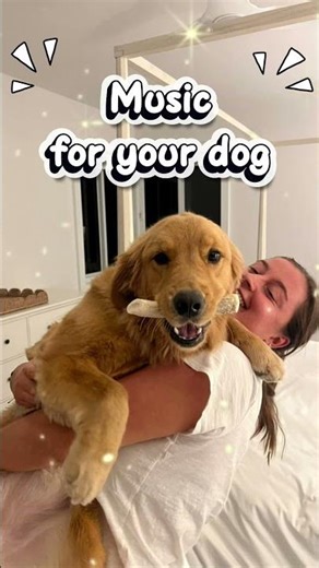Dog Relaxation Music 🎵🐾 Anxiety Relief & Healing Sleep 💖 Soft Piano #piano #music