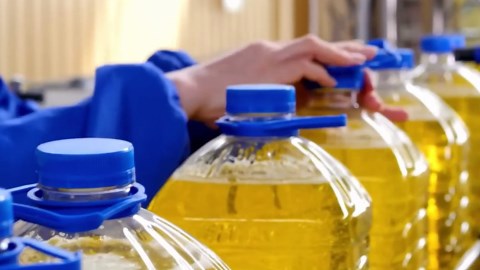 From Oil to Finished Product: The Industrial Secrets of Margarine Production