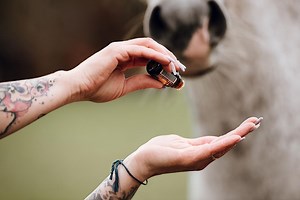 Animal Essential Touch Methode - Zertifizierungskurs Pferd at Online on 27th March, 2022