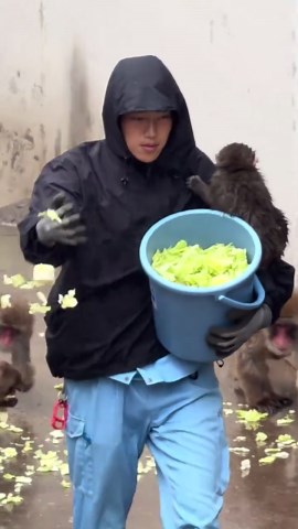 雨の日のパンチくんと飼育員さんの楽しい日常
