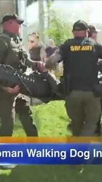 85-year-old woman killed by alligator while with her dog in Florida