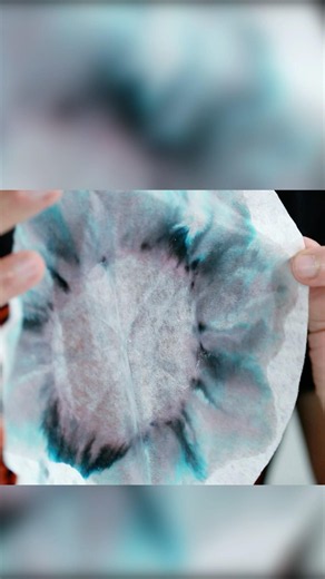 DIY Chromatography #diy #craft #science #stem #colors