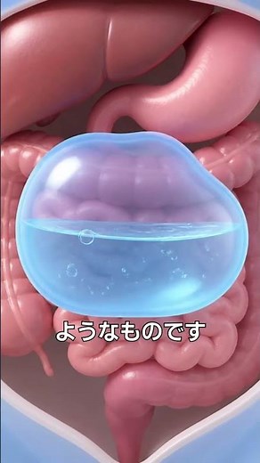 肝のう胞・腎のう胞は放置して大丈夫？腹部エコー結果の見方を医師が解説