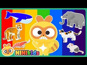 Which Animal Is Bigger? | Animal Size Comparison | Tiger? Elephant? Cat? | Word Game | NINIkids