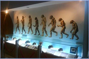 Museum Sangiran, Warisan Dunia yang Sangat Berharga - Bobo