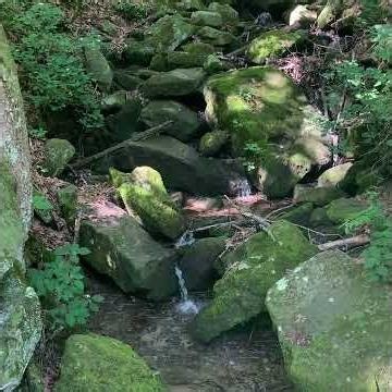 Day 901–Sewanee Loop