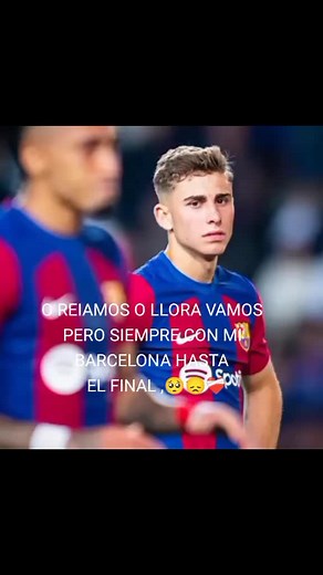 Videos de BRADLEY 😻 (@bradley.rod) con “sonido original - BRADLEY 😻”