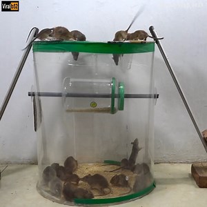 New type of mouse trap / how to make mousetrap / mousetrap with scrap | Mouse Trap 2019 Credit: Mouse Trap 2019 - youtu. be/ed1pU0JitB0 | Silver Bee Group