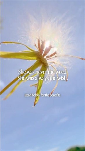 She was never the weed. She was always the wish. #dandelions #diy #skincare #flowers #skincaretips