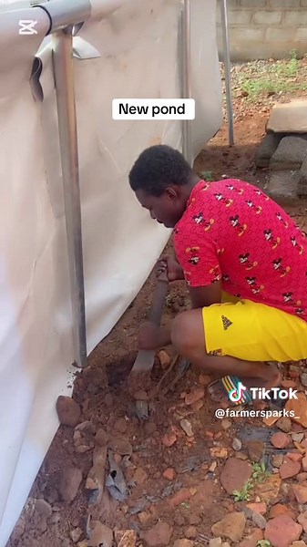 Catfish Pond Setup: From Ground Work to Fingerlings Arrival