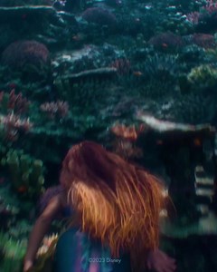 Don’t miss out on Wild’s limited edition launch in collaboration with Disney! The Little Mermaid deodorant case will add magic to your routine and keep you fresh all day! | Wild