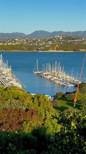 Your view of the day: Evans Bay and Kilbirnie from Overtoun Terrace in Hataitai | Love Wellington