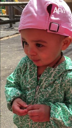 Goat's like "breakfast and some yap" 🐐 #afv #goats #funnyvideos #shorts