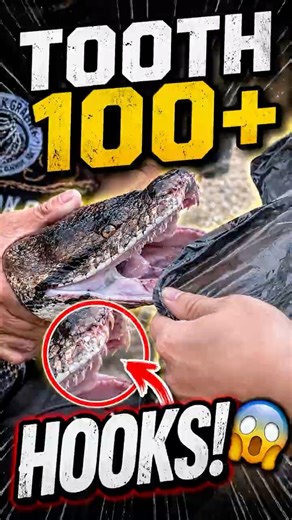 100+ Teeth: Why Python Bites Are Impossible to Escape! #facts #animalfacts