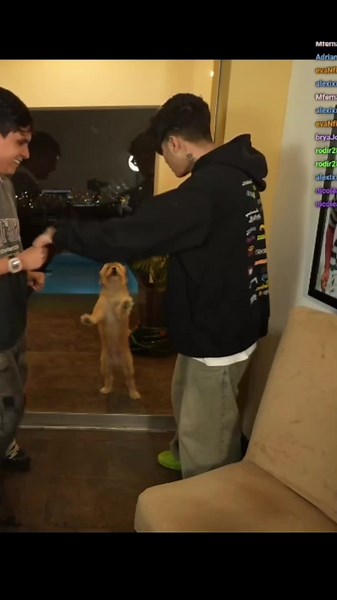 Cuentas recomendadas