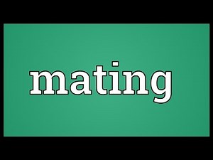 Mating Meaning