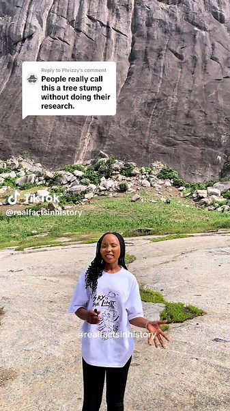 ¿Es un tocón de árbol? Comparte tu opinión