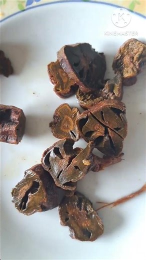 💥#መቅመቆሻይ #ለጤናችን #እጅግ #በጣም #ጠቃሚ #ስለሆነ #እንጠቀም 💥#rumexabyssinicus #tea #naturaltea #short #shortsviral