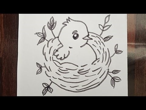 Bird in nest drawing 