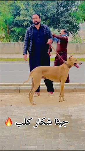 Jeeta Shikar Club: Experience the Excitement