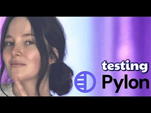 Pylon Review - B2B Service Tool Tested with 300 Real Tickets