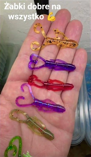 #okoń #fishing #perch #wędkarstwo #fish #dropshot #spining #ulx #pikefishing #hobby #drapieżnik