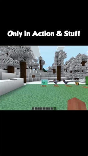 Minecraft Action: Discover Secret Nametags in Game