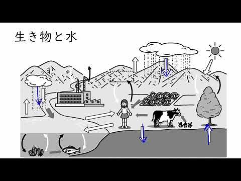 Living things, water, and air