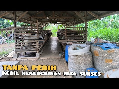 The twists and turns of the success story of Bardi Farm, a goat farm that has been running for th...