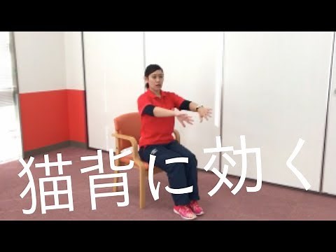 【高齢者向け】上肢の体操パターン２