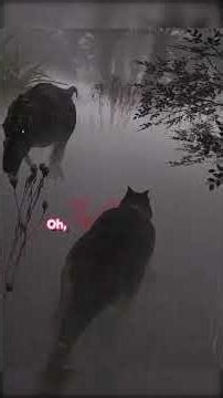 a DIABLO life with PROX CHAT 🤣 #theisle #funny #gaming #adhd #gamer #dinogame #thyfuzzy