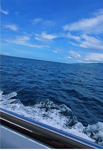 Finding Your Forever: The Story of Us