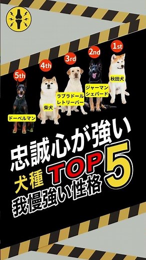 ITSMO｜犬猫の体の仕組みと健康知識