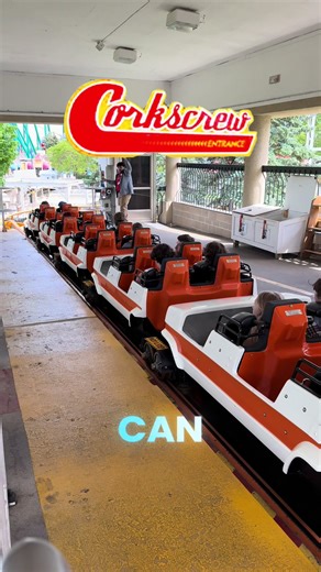 Experience the Arrow Looping Coaster at Valleyfair