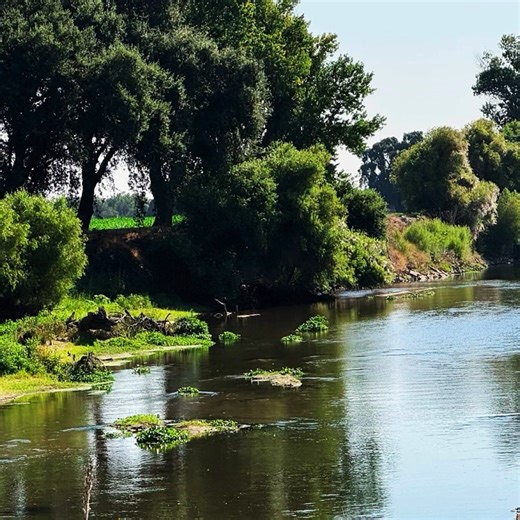 Park Jobs Recruiting on Instagram: "🌿🏞️ Live the Parks Life as a Park Sector Office Coordinator (Management Services Technician)! 🗂️✨ California State Parks is hiring a Management Services Technician to provide essential administrative support for the Central Valley District / Rivers Sector, based at Dos Rios State Park in Modesto, CA. This role plays a key part in supporting a growing park and sector by keeping daily operations organized, accurate, and running smoothly behind the scenes. 🌊�