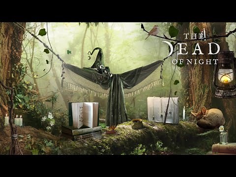 Forest Witch Sanctuary Ambience 📚🧹🧙‍♀️🌲✨ | Witchcraft in the Woods | Enchanted Woodland Ambience